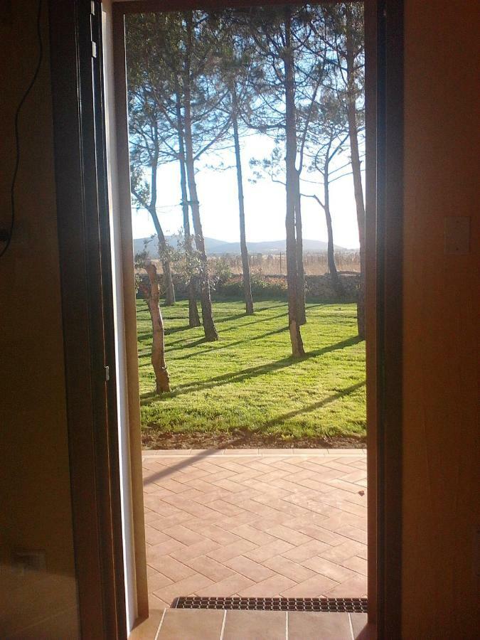 Casa Rosi Apartment Alghero Bagian luar foto